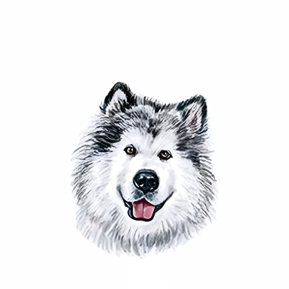 សាក់ឆ្កែ Husky