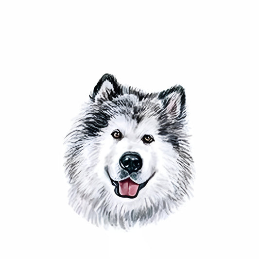 សាក់ឆ្កែ Husky