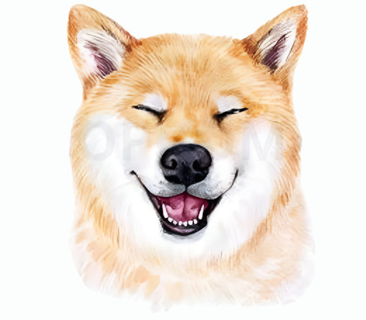 សាក់ឆ្កែ Shiba