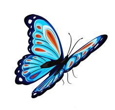 🦋 សាក់រូបមេអំបៅ