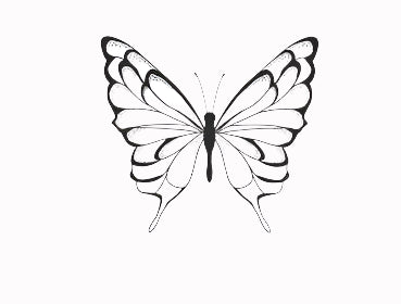 ខ្មៅ🦋..